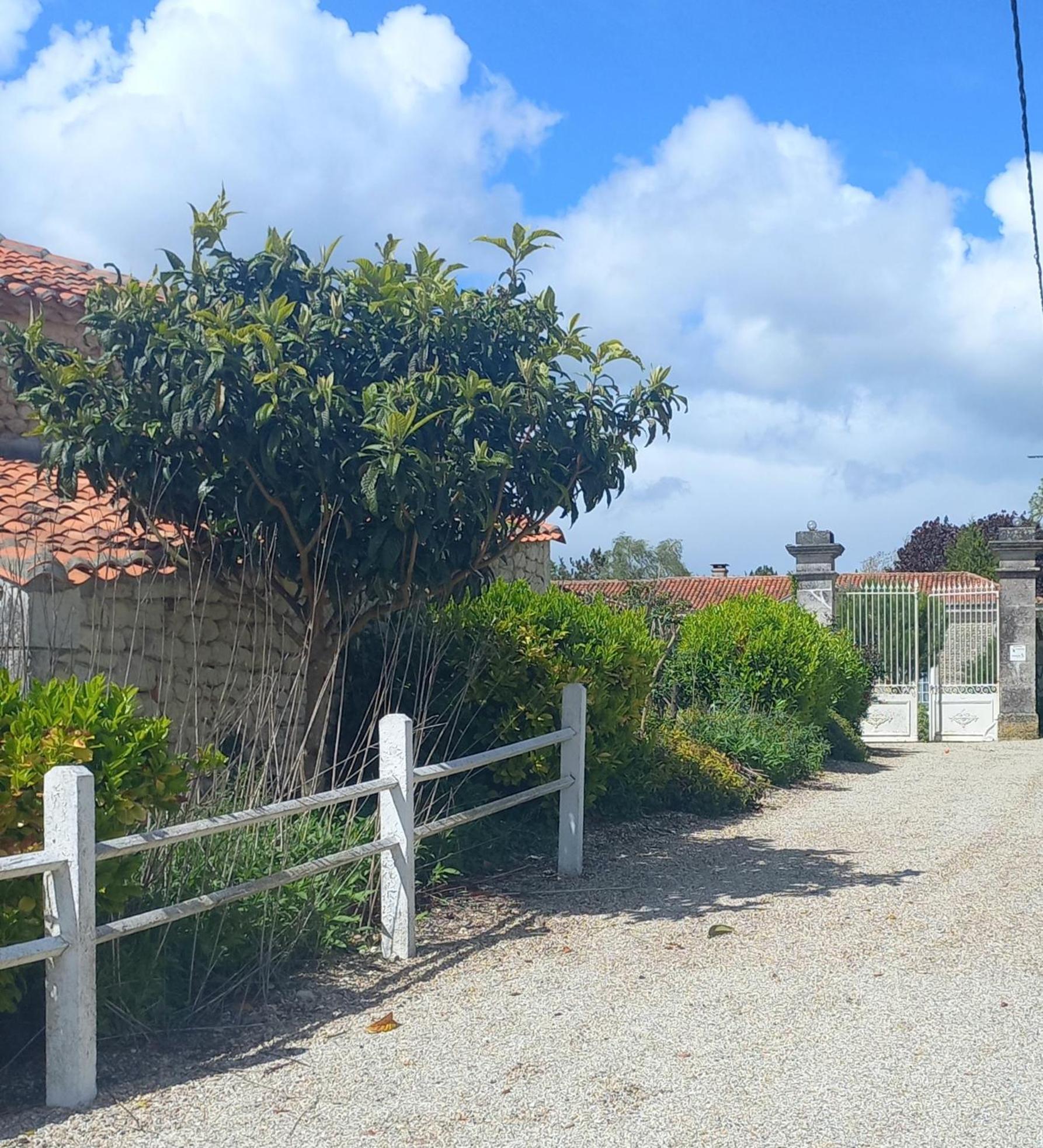 Domaine Chez Maurice Bed & Breakfast Becheresse Ngoại thất bức ảnh