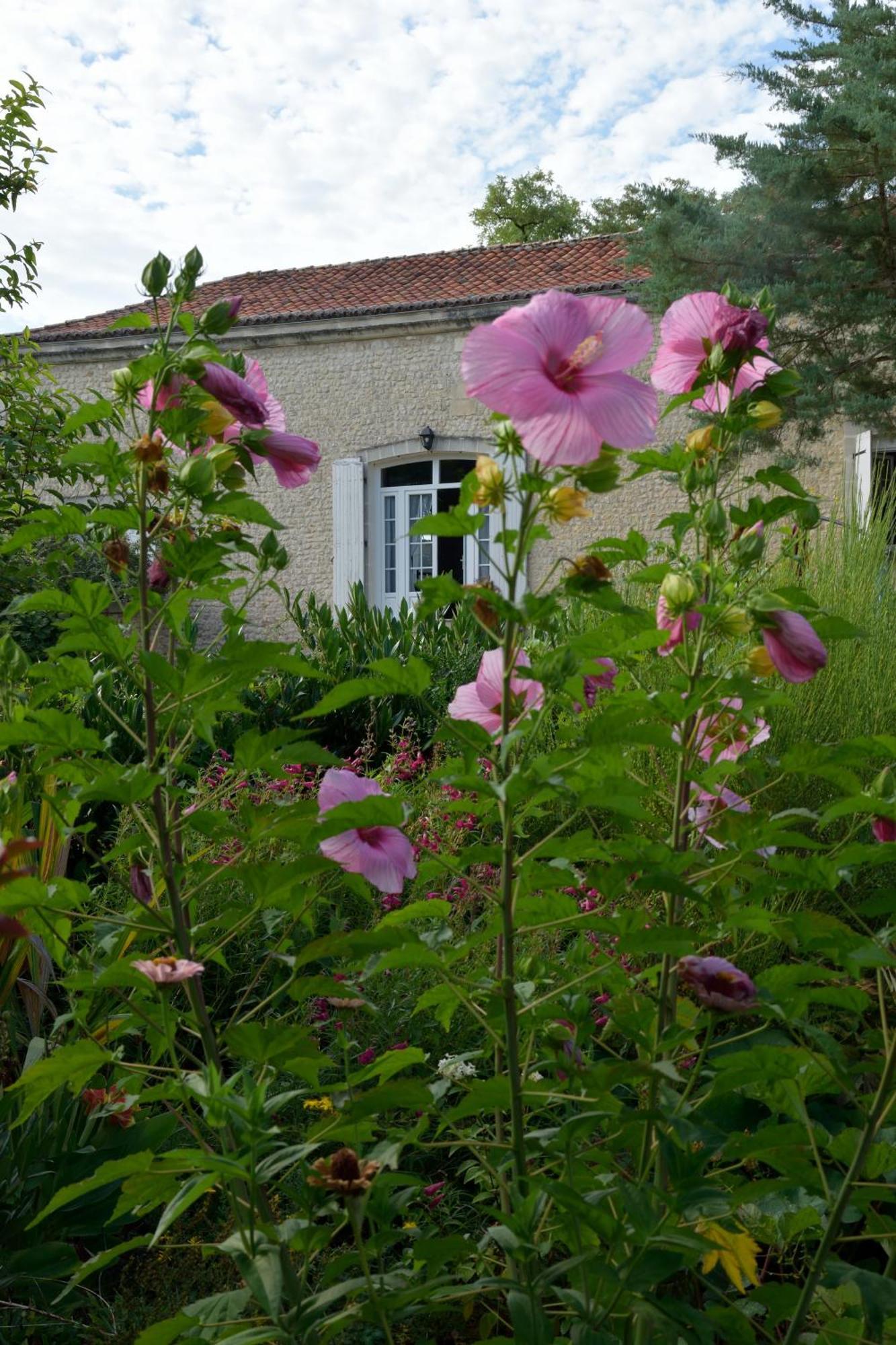 Domaine Chez Maurice Bed & Breakfast Becheresse Ngoại thất bức ảnh