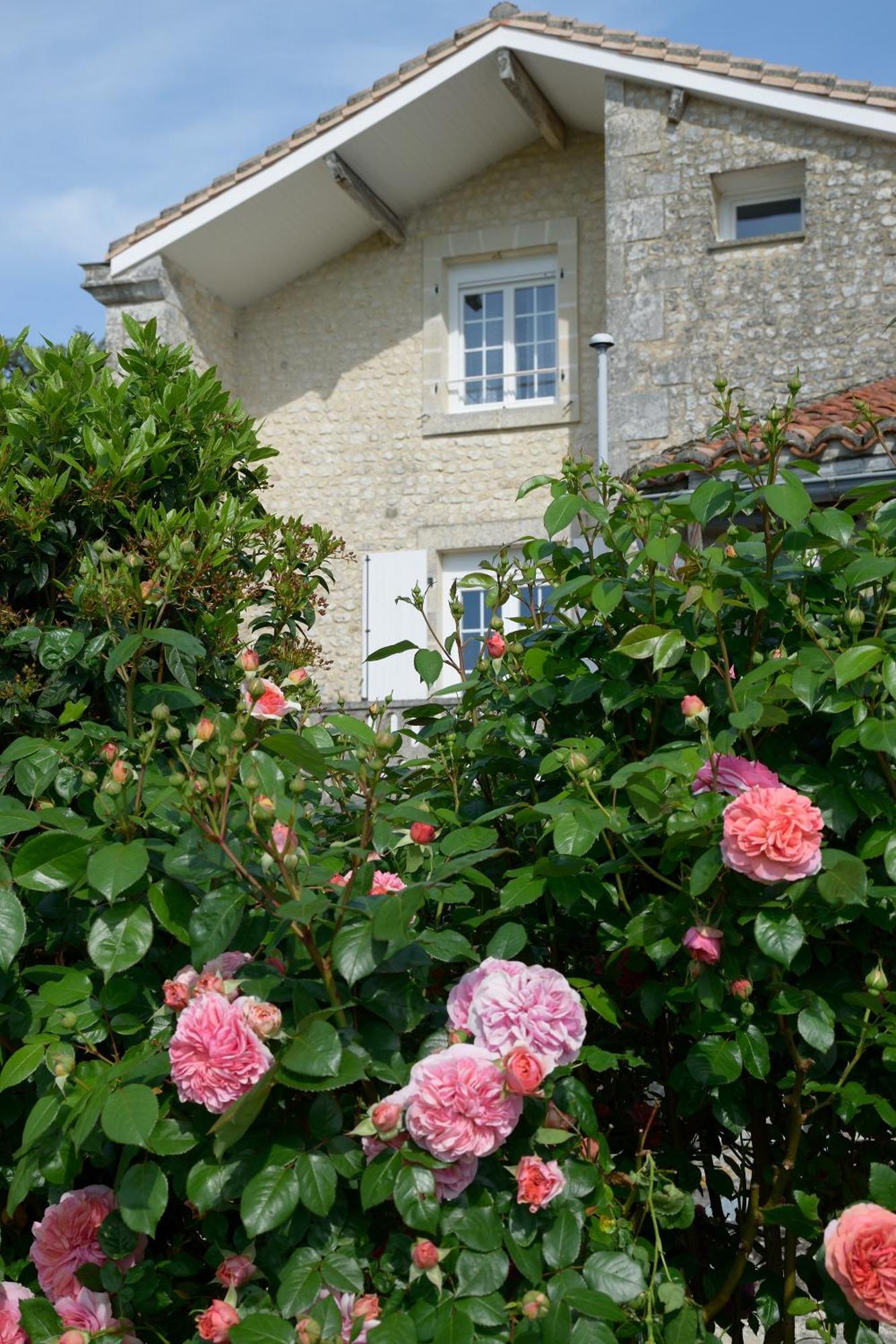 Domaine Chez Maurice Bed & Breakfast Becheresse Ngoại thất bức ảnh